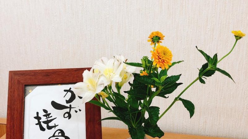 『❁新しいお花❁』
